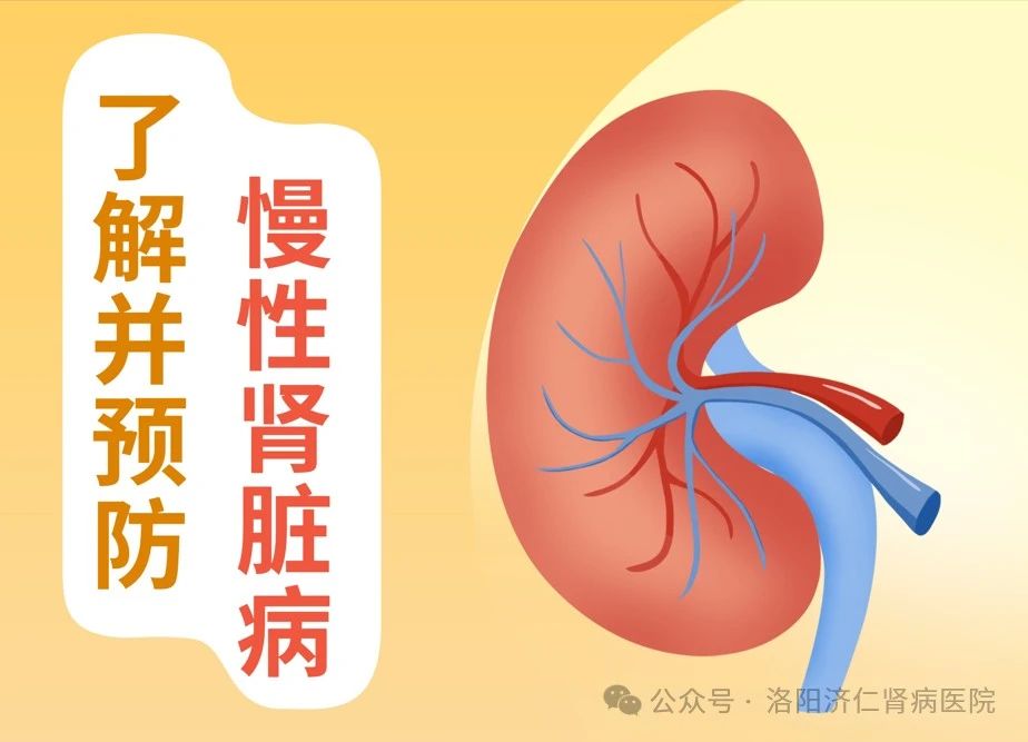 慢性肾脏病（CKD）：沉默的进展与早期发现