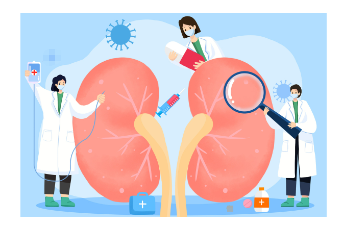 当身体突现严重水肿+高血压：别忽视肾脏的无声警报