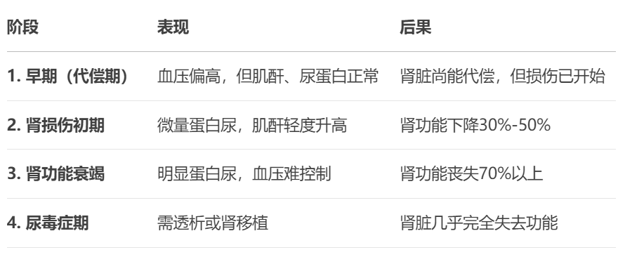 高血压为何会“拖垮”肾脏？